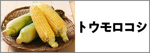 トウモロコシ